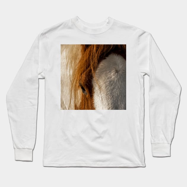 Chestnut Pinto Horse Long Sleeve T-Shirt by axp7884